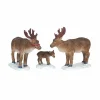 LEMAX Animaux Famille de Rennes Discount