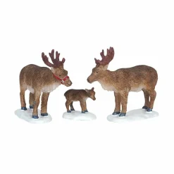 LEMAX Animaux Famille de Rennes Discount