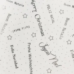 Feeric Lights & Christmas Chemin de table Noël (500 x 28 cm) Message et argent Blanc