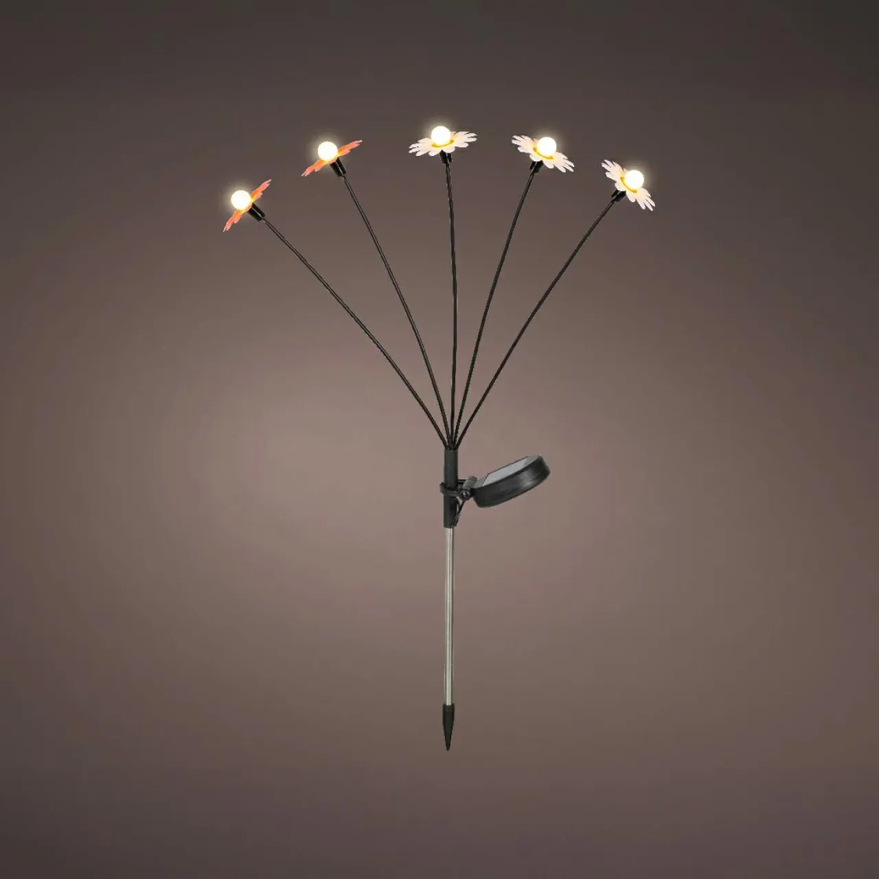 KAEMINGK Décoration lumineuse Solaire à piquer au sol (H60 cm) Marguerites et blanc chaud Rouge Sale