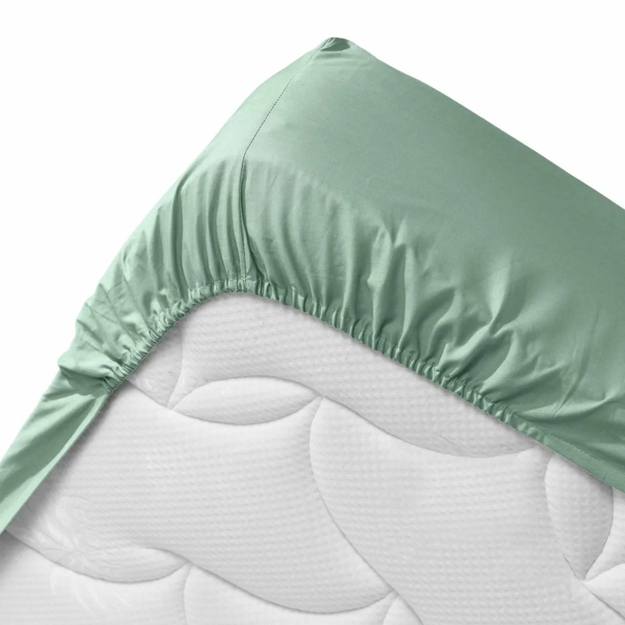 DOUCEUR D'INTERIEUR Drap housse coton bio (180 x 200 cm) Biolina Vert sauge Online