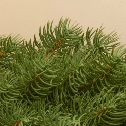EMINZA Guirlande de sapin (180 cm - D25) Utah Luxe Vert sapin Sapin vert Discount