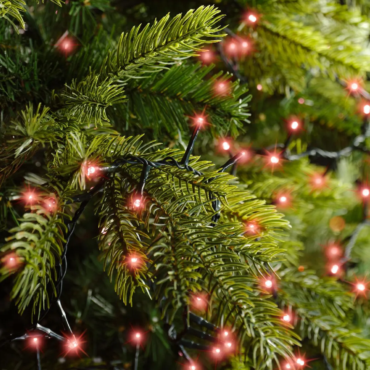 KAEMINGK Guirlande lumineuse 22,5 m 1000 LED câble vert Luxe Rouge Rouge - câble vert