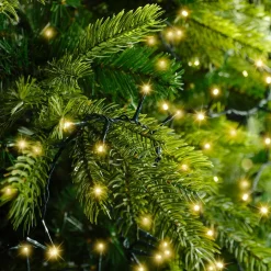 KAEMINGK Guirlande lumineuse 22,50 m 1000 LED câble vert Luxe Blanc chaud Champagne Blanc chaud Champagne - câble vert