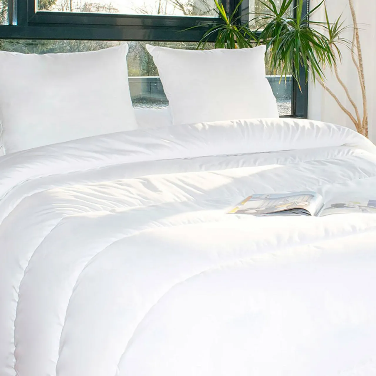 EMINZA Lot Couette chaude anti-acariens (280 x 240 cm) + 2 Oreillers (60 x 60 cm) Comète he Blanc Discount