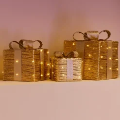 EMINZA Lot de 3 cadeaux lumineux à piles 30 LED (H30 cm) Westfield et Blanc chaud Or Online