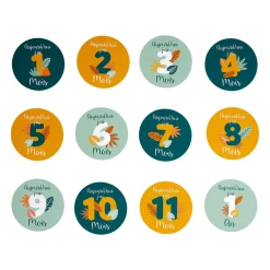 OSTARIA Lot de 12 cartes étapes bébé carton (10 cm) Mois Multicolore Online