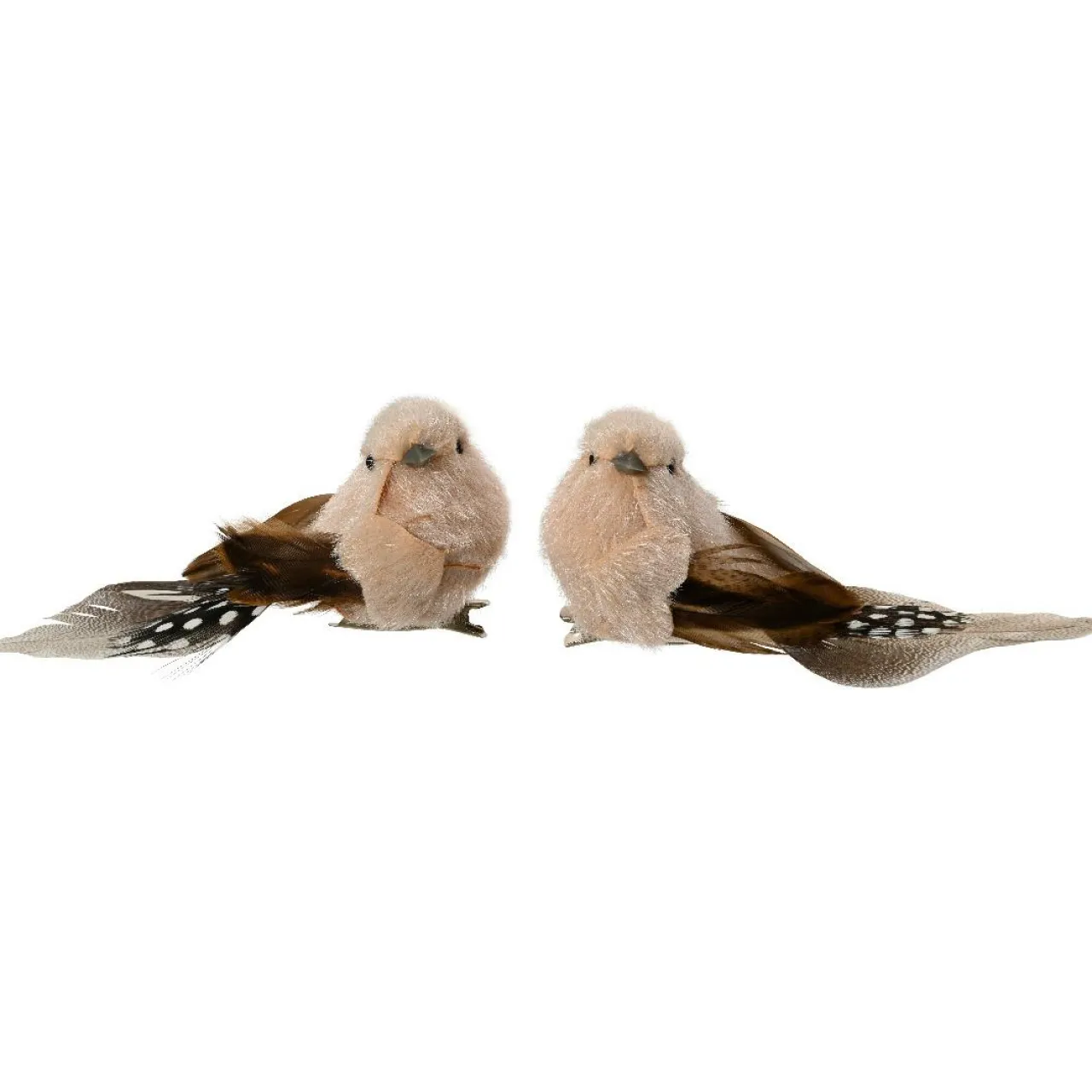 KAEMINGK Lot de 2 Oiseaux sur pince (L12 cm) Plume nature et crème Marron Hot