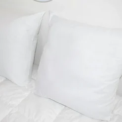 EMINZA Lot de 2 oreillers carrés moelleux (60 x 60 cm) Volume Blanc Discount