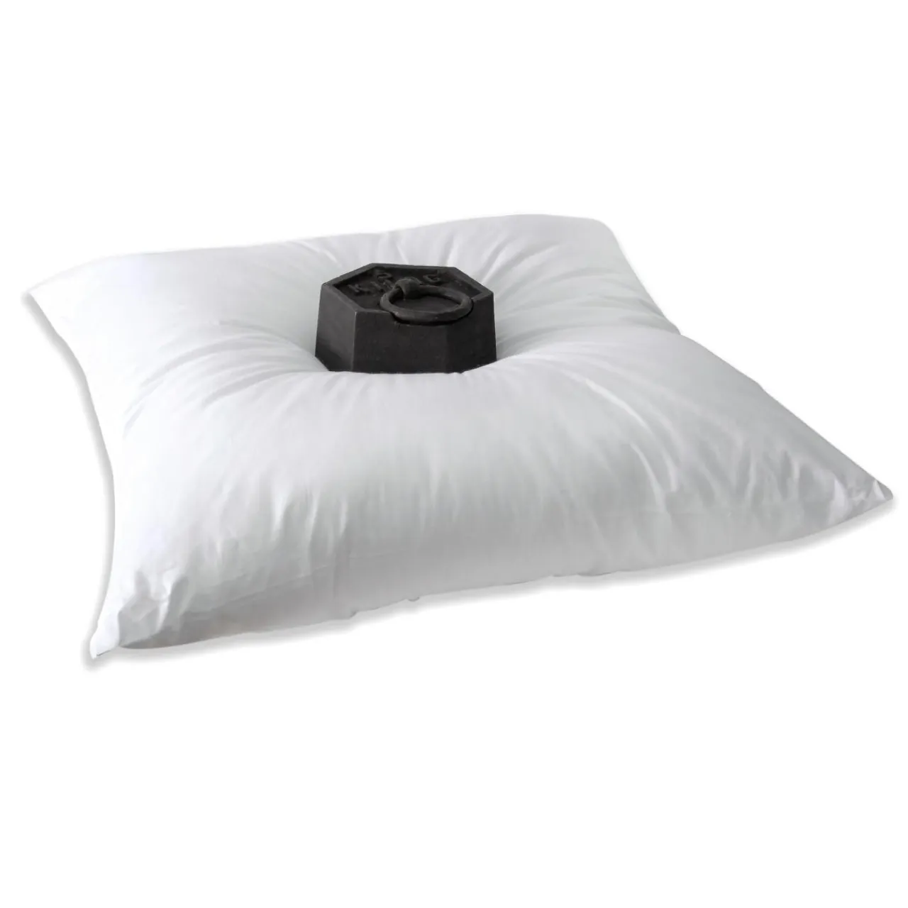 EMINZA Lot de 2 oreillers carrés moelleux (60 x 60 cm) Volume Blanc Discount
