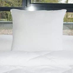 EMINZA Lot de 2 oreillers carrés moelleux (60 x 60 cm) Lavables à 95 ° Blanc Online