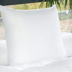 EMINZA Lot de 2 oreillers carrés (60 x 60 cm) Moelleux Anti-acariens Blanc Hot