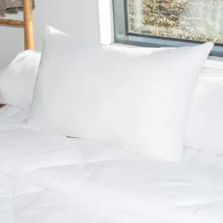EMINZA Lot de 2 oreillers rectangulaires (45 x 70 cm) Moelleux Anti-acariens Blanc Outlet