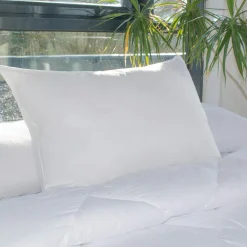 EMINZA Lot de 2 oreillers rectangulaires (45 x 70 cm) Moelleux Anti-acariens Blanc Outlet