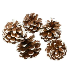 KAEMINGK Lot de 5 pommes de pin Pinus nigra enneigées Naturel Marron Sale