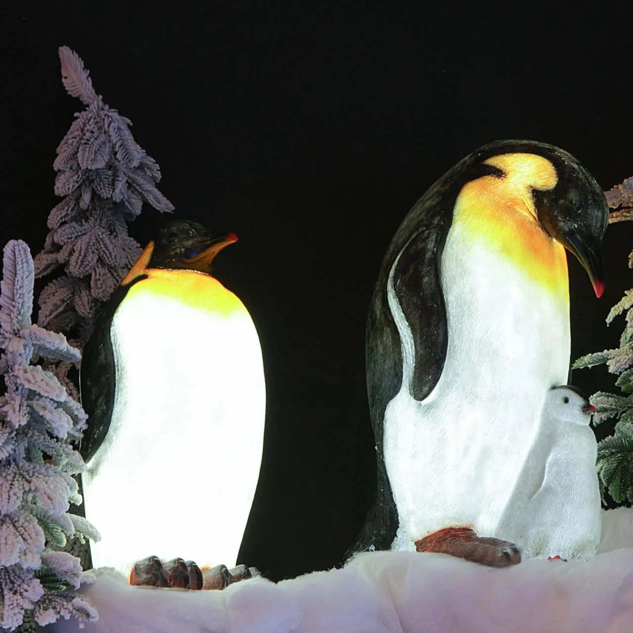 KAEMINGK Pingouin lumineux fibre de verre 8 LED (H50 cm) Zélian Blanc froid Hot