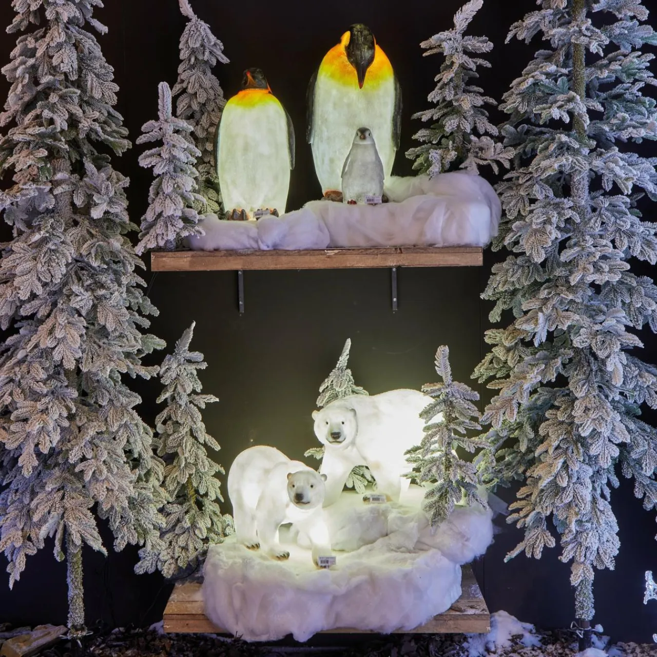 KAEMINGK Pingouin lumineux fibre de verre 8 LED (H50 cm) Zélian Blanc froid Hot