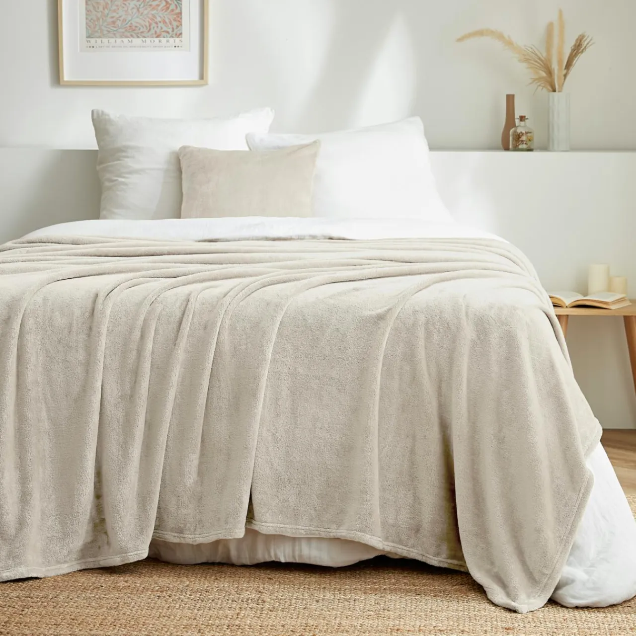 EMINZA Plaid doux flanelle (220 x 240 cm) Didou grège Beige Sale