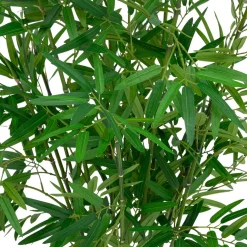 Atmosphera, cru017dateur d'intu017drieur Plante artificielle avec pot tressé (H100 cm) Bambou Ly Vert Best