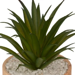 Atmosphera, cru017dateur d'intu017drieur Plante artificielle avec pot (H17 cm) Sao plante grasse Vert Outlet