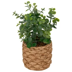 Atmosphera, cru017dateur d'intu017drieur Plante artificielle en pot cimenté (H27 cm) Eucalyptus Jaye Vert