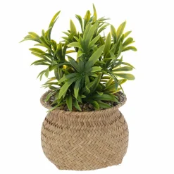 ATMOSPHERA Plante artificielle en pot (H20 cm) Jil e Vert Sale