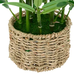 Atmosphera, cru017dateur d'intu017drieur Plante artificielle en pot tressé (H46 cm) Bambou Ly Vert New