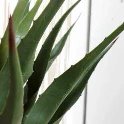 ATMOSPHERA Plante artificielle (H73 cm) Palmier en pot Vert Clearance