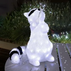 Feeric Lights & Christmas Raton laveur lumineux 60 LED (H40 cm) Marcel Blanc froid New