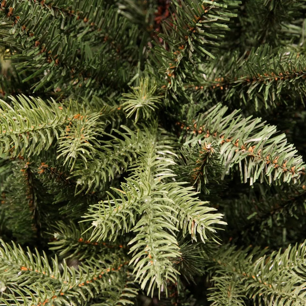 EMINZA Sapin artificiel de Noël (H240 cm) Allix Vert sapin Sapin vert Clearance