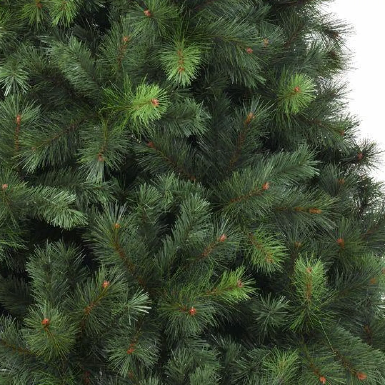 EMINZA Sapin artificiel de Noël (H210 cm) Edmonton Vert sapin Sapin vert