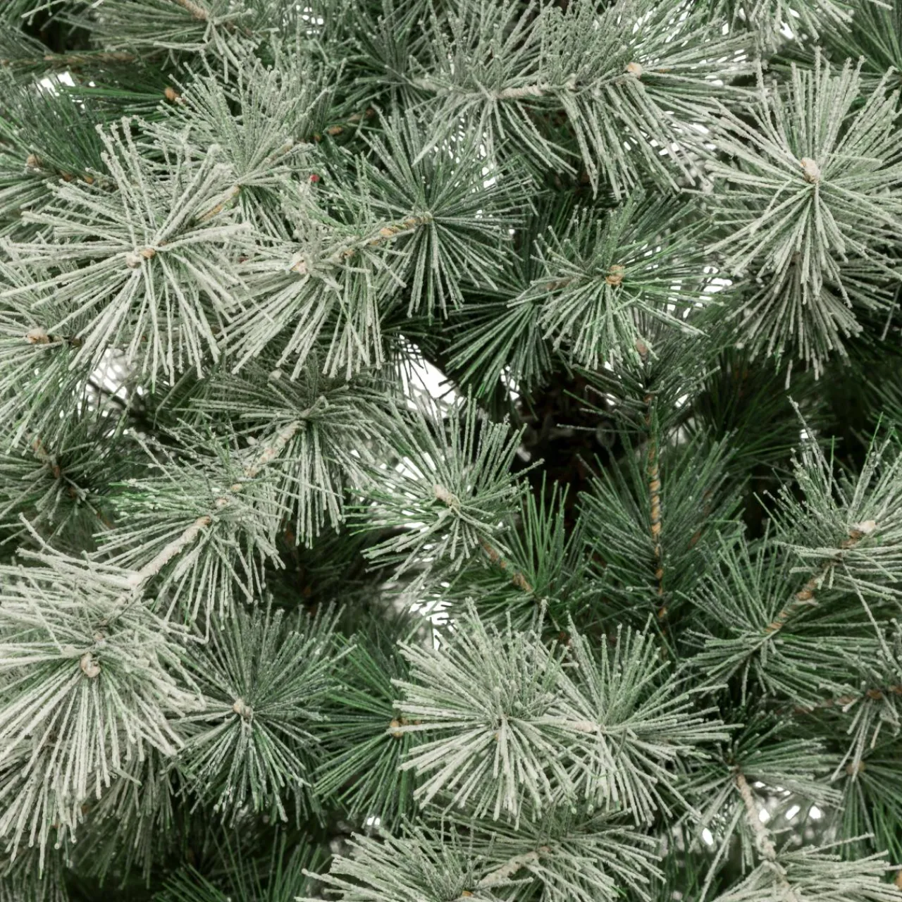 FEERIC LIGHTS Sapin artificiel de Noël (H180 cm) Nordstar Vert enneigé Sapin enneigé Clearance