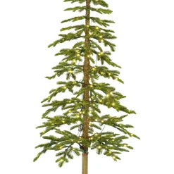 EMINZA Sapin de Noël artificiel lumineux 250 LED (H240 cm) Sierra Vert sapin Sapin vert lumineux New