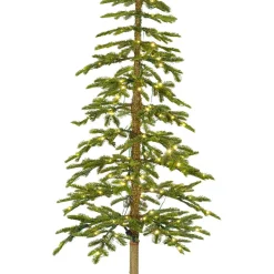 EMINZA Sapin de Noël artificiel lumineux 200 LED (H210 cm) Sierra Vert sapin Sapin vert lumineux New