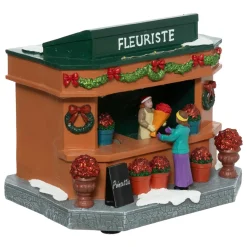 FEERIC LIGHTS Scène de vie illuminée à piles (H17 cm) Fleuriste Hot