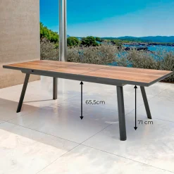 MOBELLIA Table de jardin extensible en aluminium 10 places (260 x 96 cm) Amalfi Gris Anthracite Best