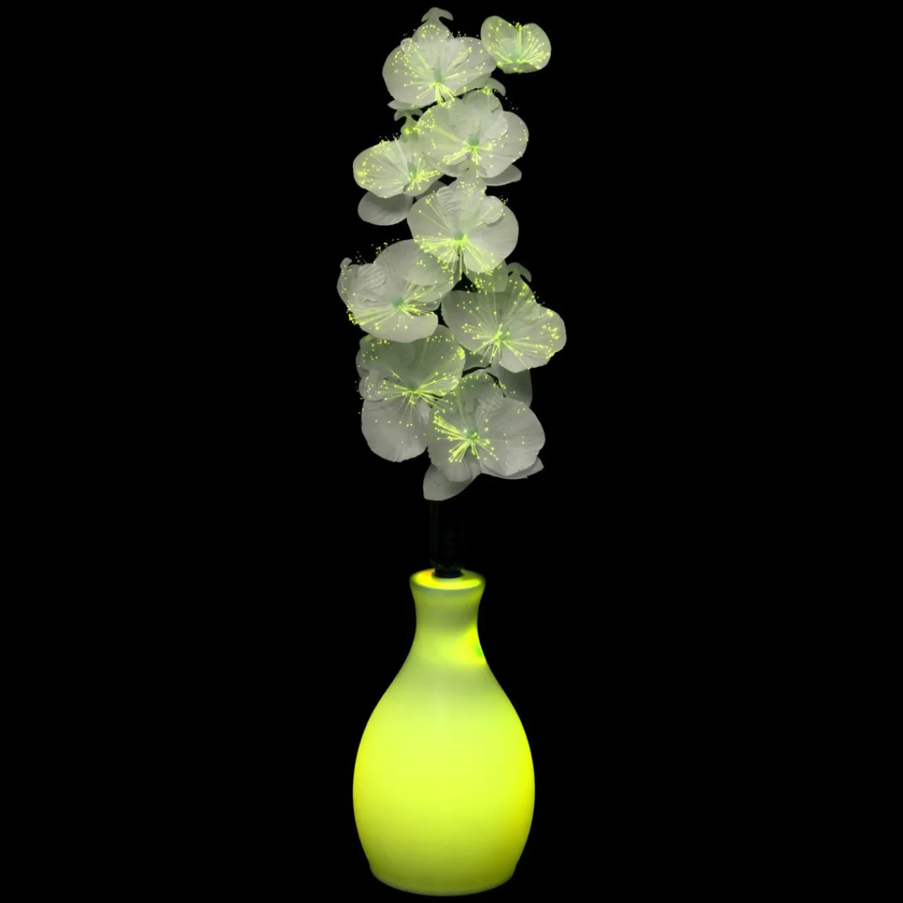 Feeric Lights & Christmas Vase orchidée lumineux à piles Multicolore Clearance