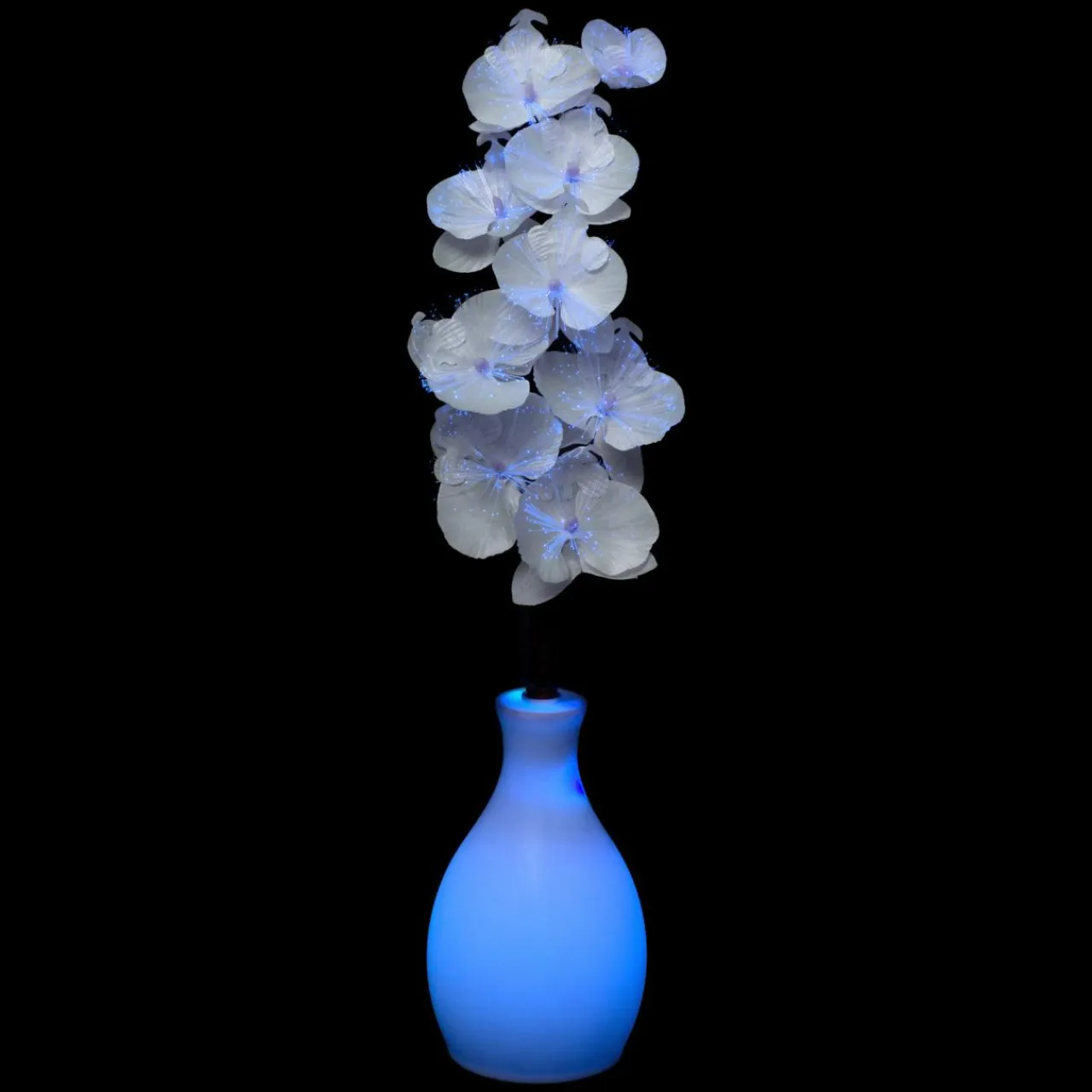 Feeric Lights & Christmas Vase orchidée lumineux à piles Multicolore Clearance